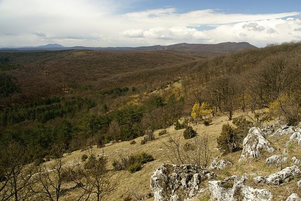 Orlie skaly (430 m), skalní step s výhledem na vrcholy Klenová (585 m) a Záruby (767 m)