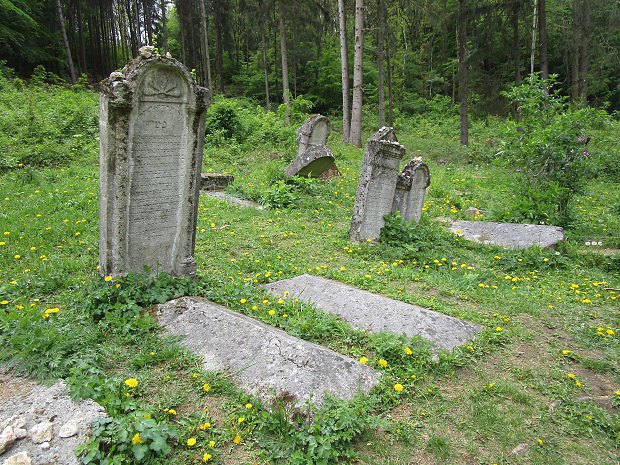 Židovský hřbitov u Dobré Vody