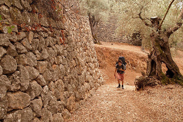 V bludišti zdí a olivovníků, foto N. Jandová