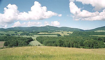 Pohled na hřeben Rychlebských hor od Žulové
