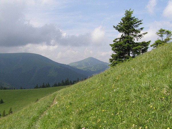 Borišov a Ploská, výhledy na Chatu pod Borišovom ze svahu vrcholu Kračkov