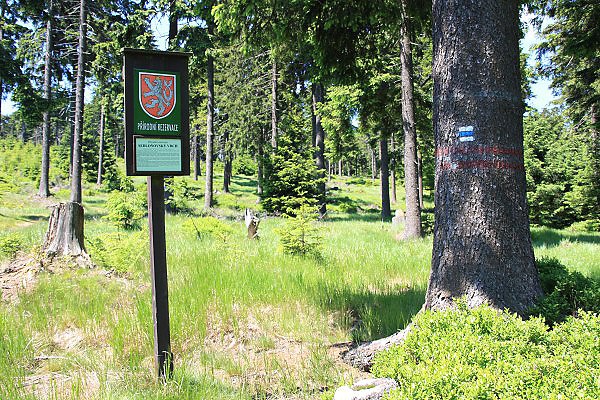 Hranice přírodní rezervace Sedloňovský vrch
