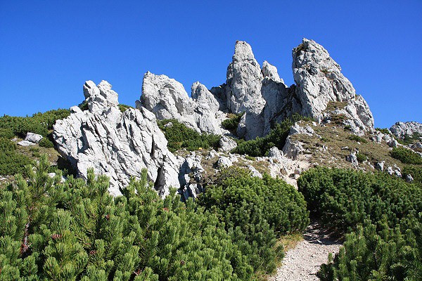 Radové skaly a Sivý vrch