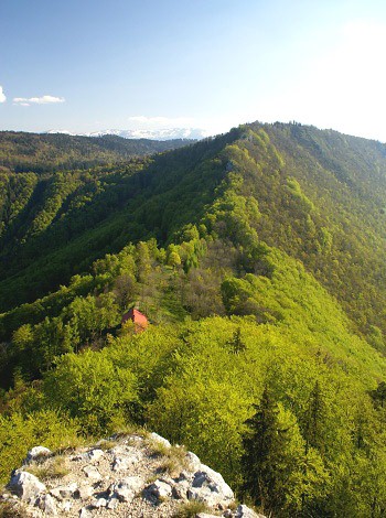 Nízké Tatry z hradu