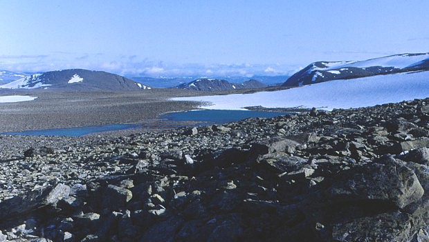 Kamenné pláně pohoří Dovrefjell, na obzoru Jotunheimen