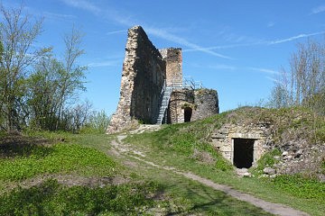 Zřícenina hradu Krasíkov (Švamberk)