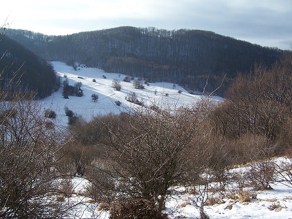 Strepkov vrch, Strážovské vrchy
