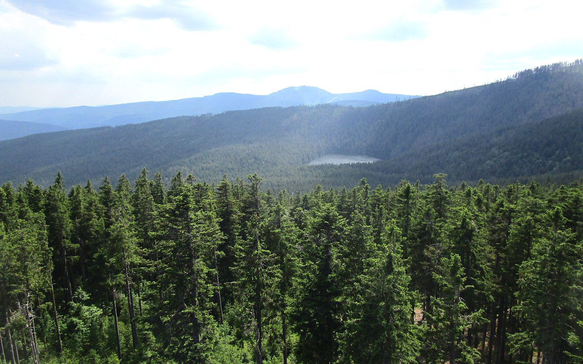Pohled ze Špičáku na Velký Javor a Čertovo jezero