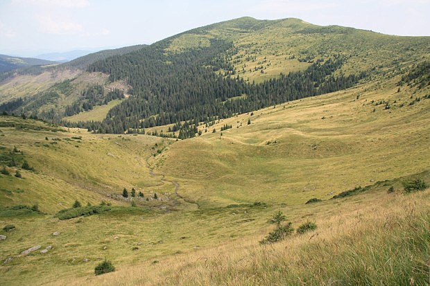 Nelegální těžbou utrpělo i okolí hory Tataruka