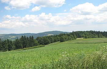 Pohled na vrch Horní les
