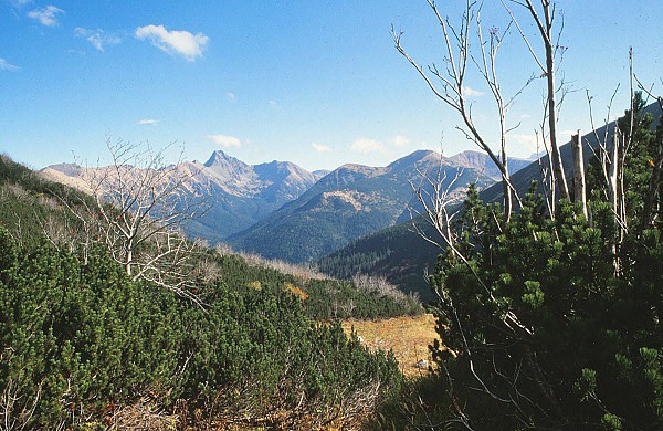 Liptovsk kopy, Valentkov, Svinica a Kasprov vrch