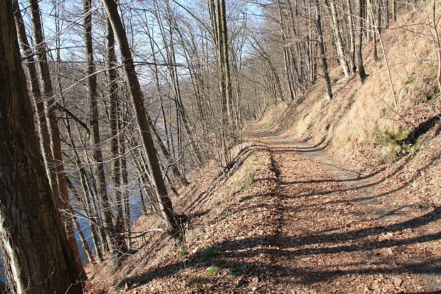 Cesta podél Moravice