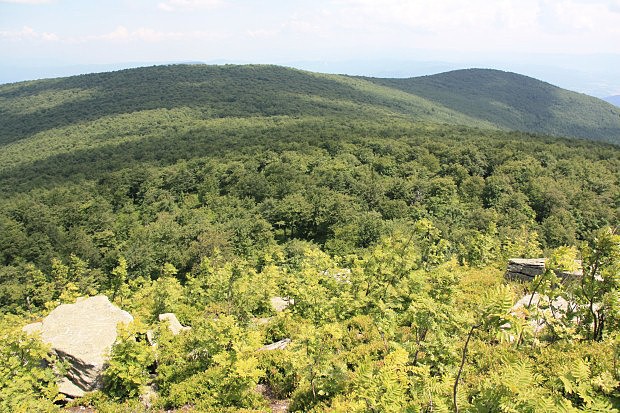 Vertikálně bohatě členěné lesy pohoří Vtáčnik