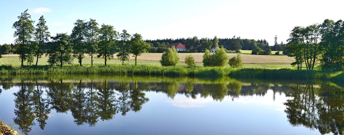 Další rybník se jmenuje Rdkovec v místě zvaném Pouště