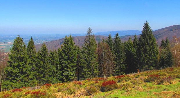 Výhled na část Slezských Beskyd, cestou na Ropičku