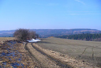 Krajina u Míčova - Pohled na vrch Krkanka
