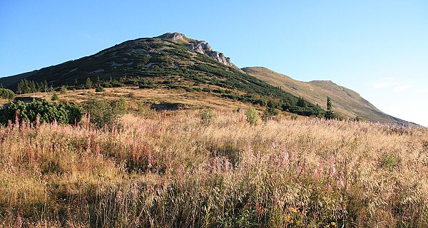 Jižní svahy hory Chleb, pohled od Chaty pod Chlebom