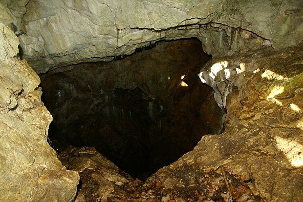 Vstupní část propasťové jeskyně Klenová