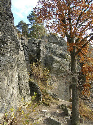 Kozelka, trachybazaltové skalní stěny