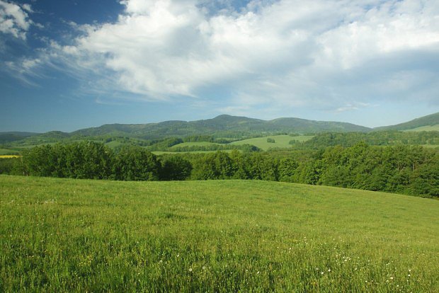 Špičák (957 m) a Rychlebské hory z Lánského vrchu (423 m)