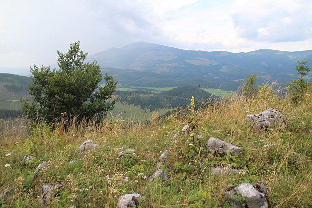 Škrapy na vrcholu Borovniaku
