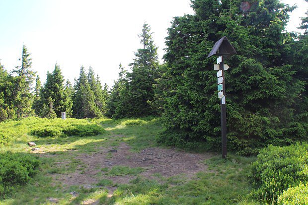 Sušina (1 321 m)