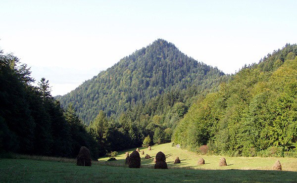 V sedle Szopka, pohled na vrchol Nowa Góra